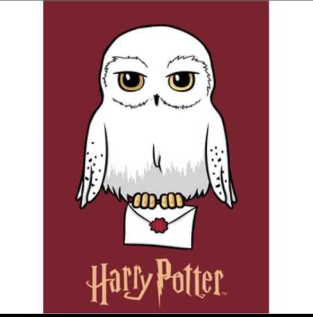 Plaid Hedwige Harry potter – orelshop